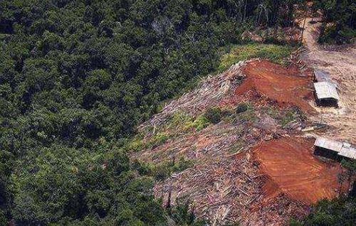 亚马逊雨林持续三周大火似地狱